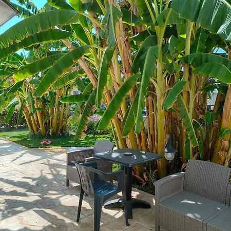 Il Negramaro Bed & Breakfast Veglie