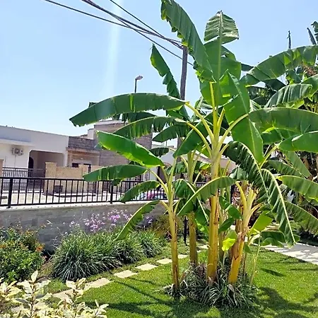 Bed and Breakfast Il Negramaro